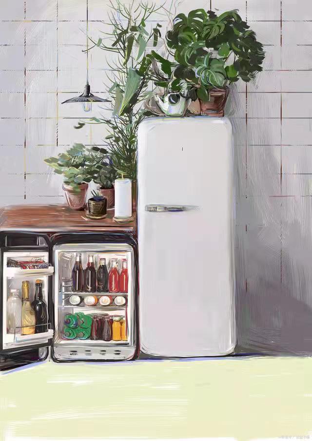 |冰箱买回来多久可以插电