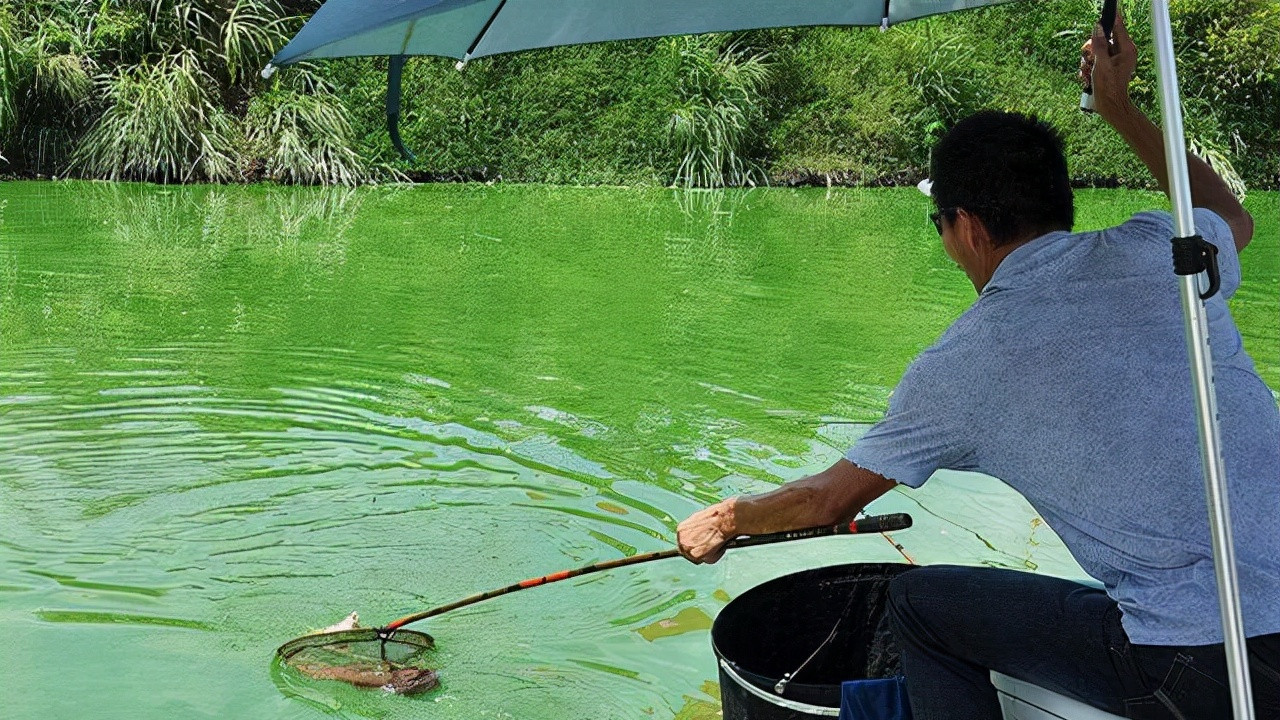 |怎么才能连竿上鱼？熟知鱼的这个习性是关键，切实践行才是保证