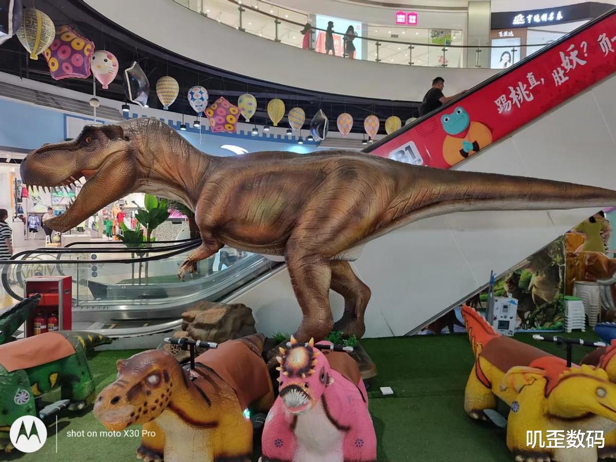 |moto X30 Pro体验:全球首发2亿像素超大底CMOS,手机影像新突破!