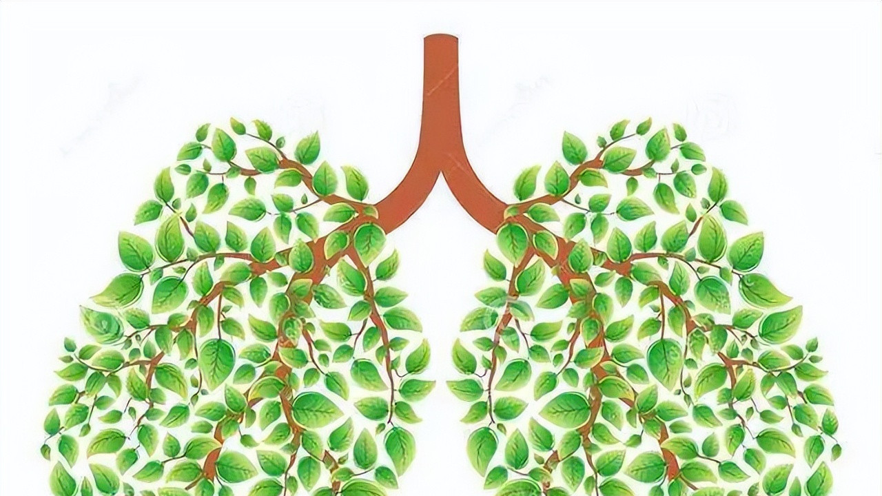 祛湿|鼻炎、鼻塞 鼻痒？一个妙方，疏通鼻窍，泻肺热，祛风邪，标本兼治