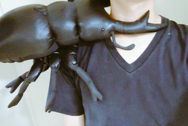 后遺癥|假面騎士后遺癥真好玩，粉絲迷之操作笑哭路人，第5個確定是鐵粉