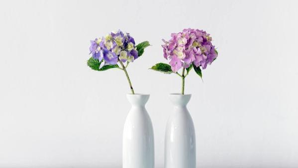 高校|退休后，最聪明的活法是：主动和3种人断交，不管是谁