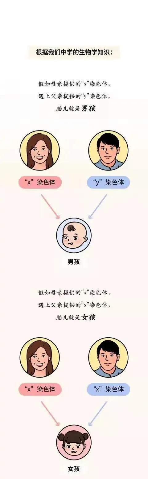 |为啥男生这么“幼稚”？漫画告诉你真相，超乎你的想象