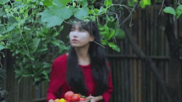 李子柒|消失近一年的天后——李子柒终于复出，背后隐藏的真相，让人难以咬牙切齿。