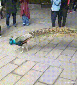 MySQL|“工地里捡的耳机,连喇叭都没有,为啥有人出价4位数想收购?”