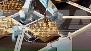 机器人|种种迹象表明，AI已经在了解这个世界