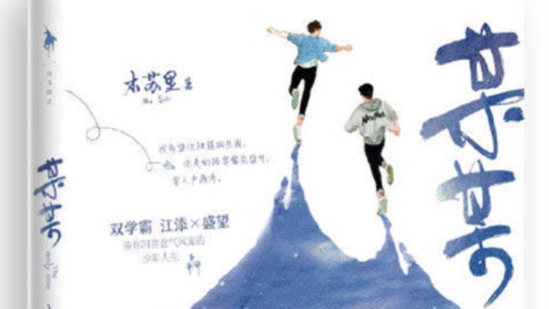 玫瑰少年：我和我喜欢的某某