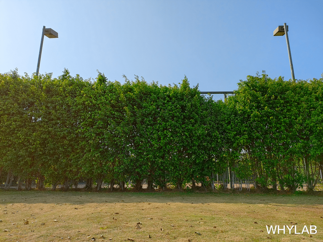 摄像头|realme Q5 Pro 体验：要做中端性价比圈中，最「卷」的崽？