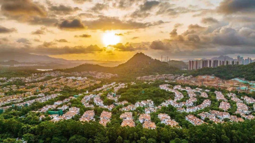 抢疯了！深圳神盘来了？楼市购房潮兴起