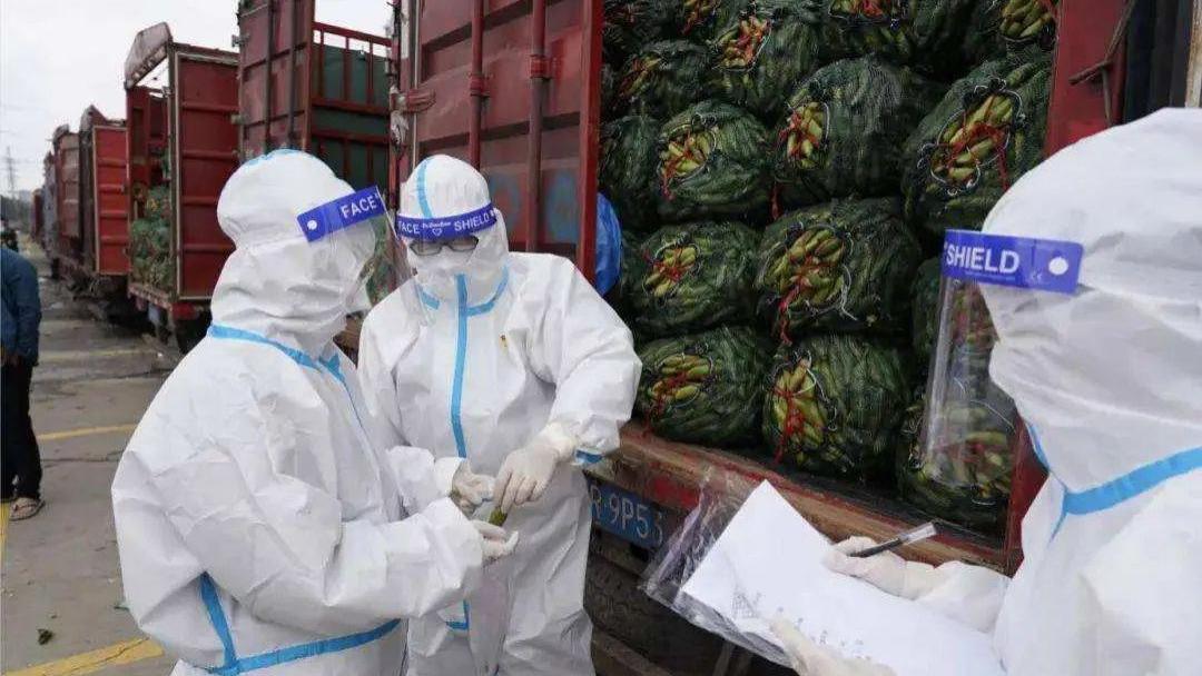 上海市|专题250 | 抢菜攻略来了！各大平台支援上海，社区电商“团购风行”