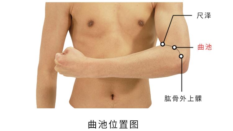 穴位|曲池穴，清热泻火解毒的要穴