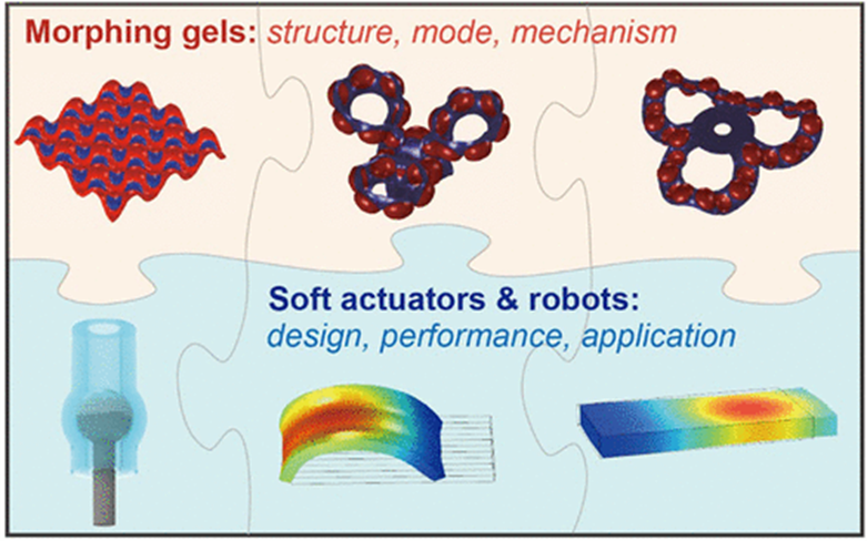 日立|用于软执行器和机器人的可编程变形水凝胶:从结构设计到主动功能