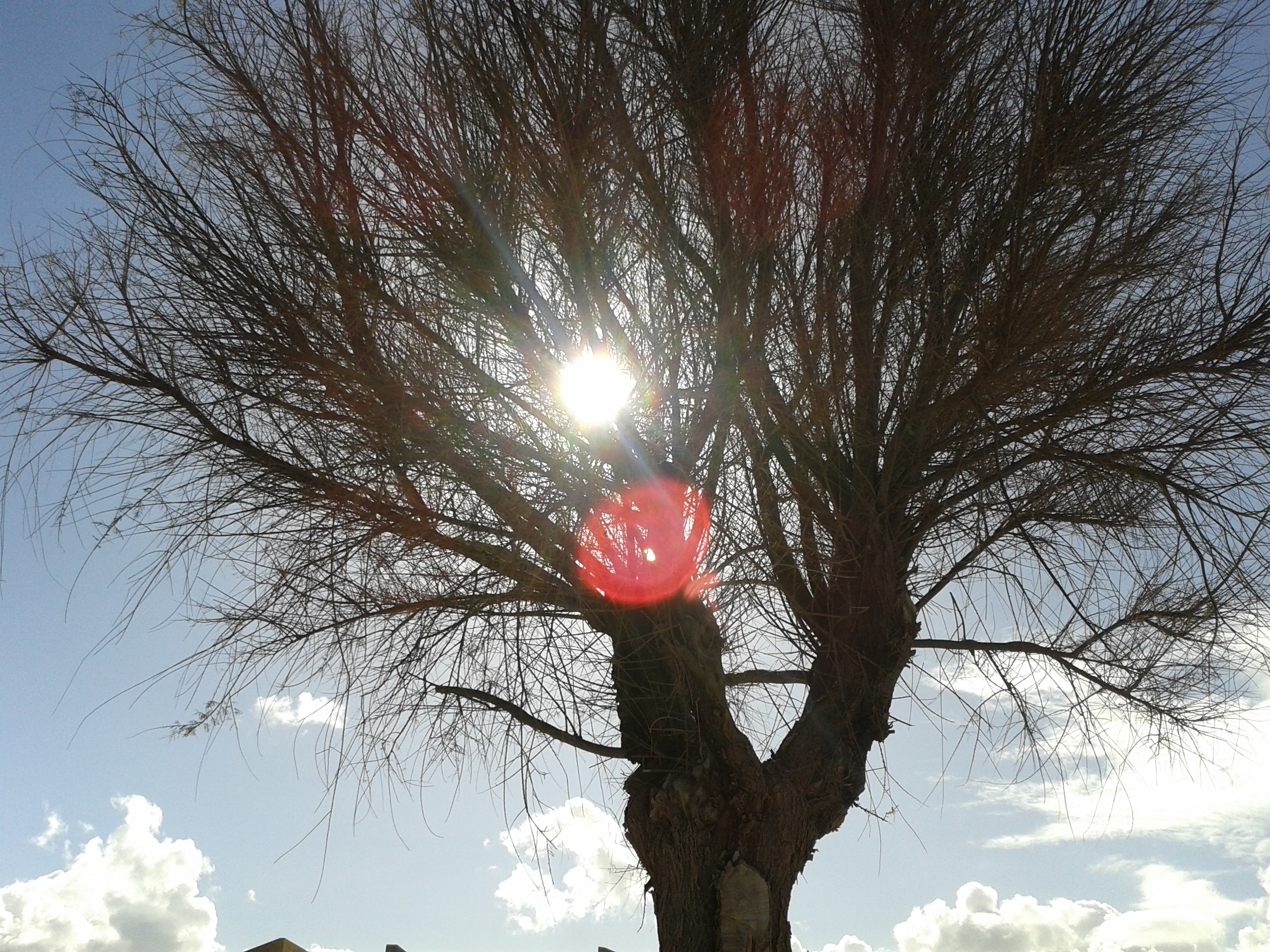 感情里，多情和无情都是一种修行