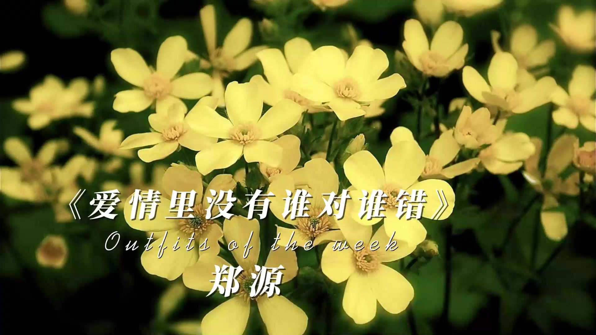 郑源《爱情里没有谁对谁错》完整版#好歌 #流行音乐 #完整版