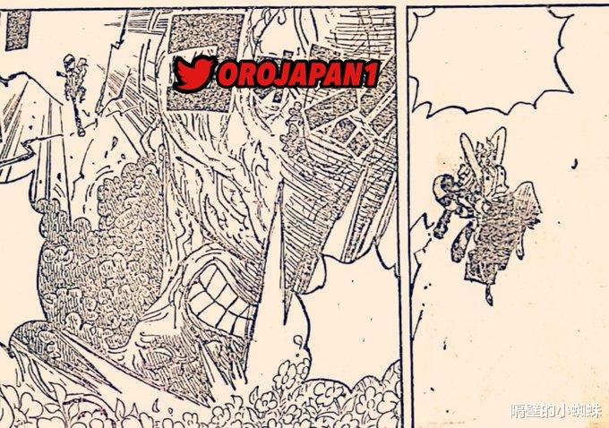 布鲁克|海贼王1054话漫画图,桃之助单挑绿牛,香克斯没打算跟路飞见面
