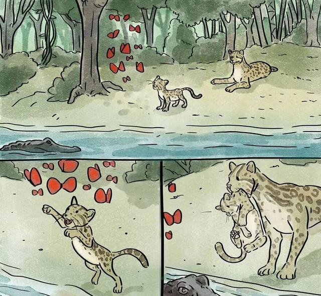 蟒蛇|这2组漫画故事,没有一个字,却能触动我们内心最柔软的地方