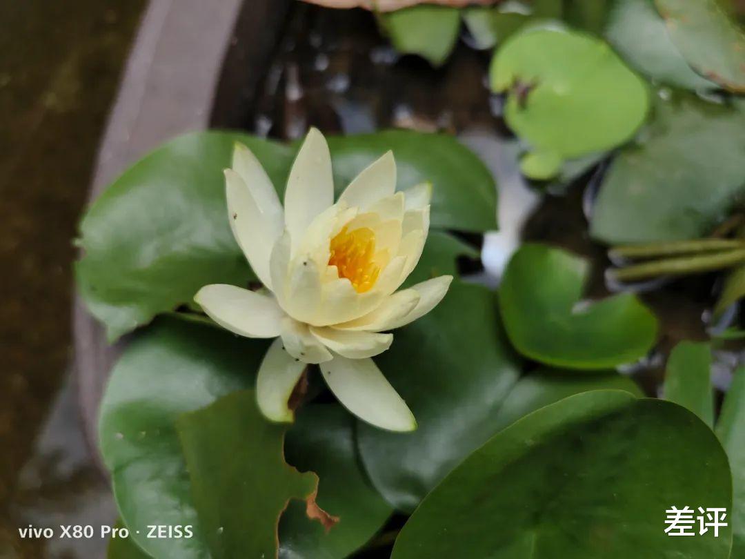 相机|都卖四五千的价格,到底谁才是2022年的拍照手机联名之王?