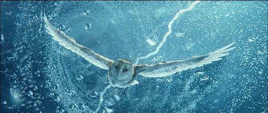 coser|《猫头鹰守护神》影评：简单可爱