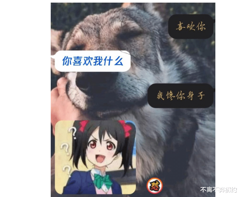 八神庵|“为什么八神庵腿上要绑绳子呢?”