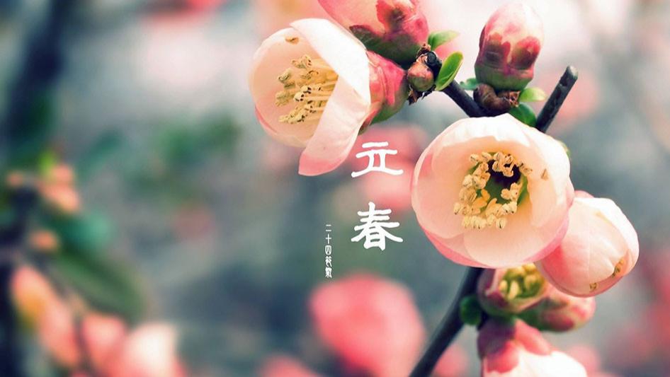 炒合菜|明日立春，老传统要吃“炒合菜”，5样食材不能少，寓意金银满堂