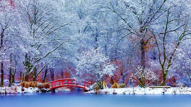 电子商务|拼多多店铺不活跃怎么办？