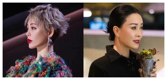 宁静|《浪姐3》人气女星互撕，堪比宫斗大戏