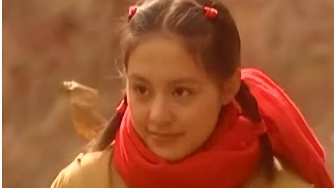 宁静|酷似宁静！她演了38次女主角却还是红不起来