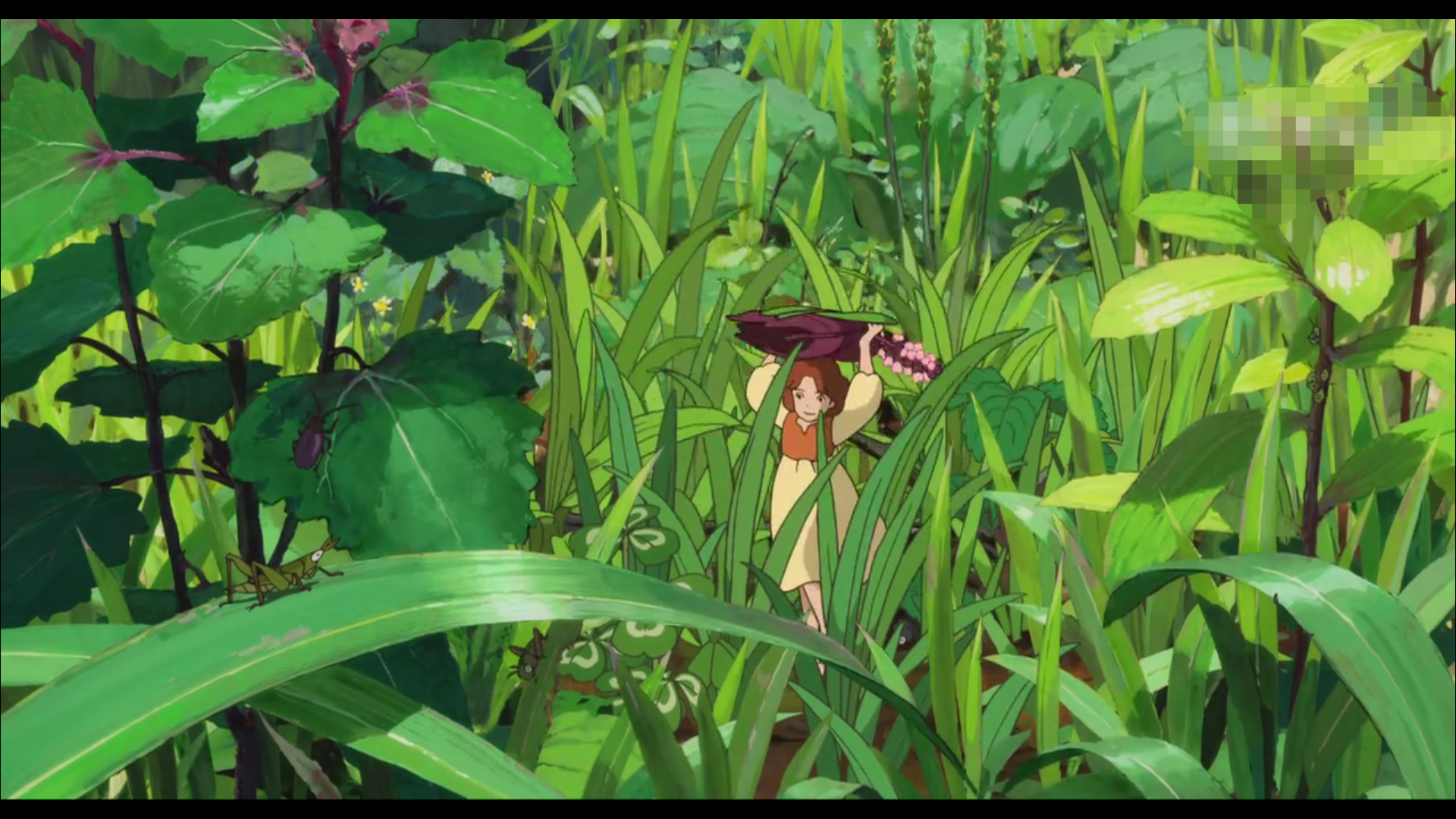 acgn漫评|《借东西的小矮人亚莉亚蒂》是一部释放忙碌心情的动漫你一定喜欢