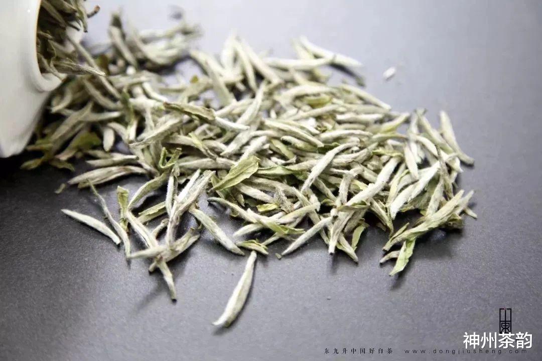 白毫银针是什么茶? 看完这篇文章你就明白了