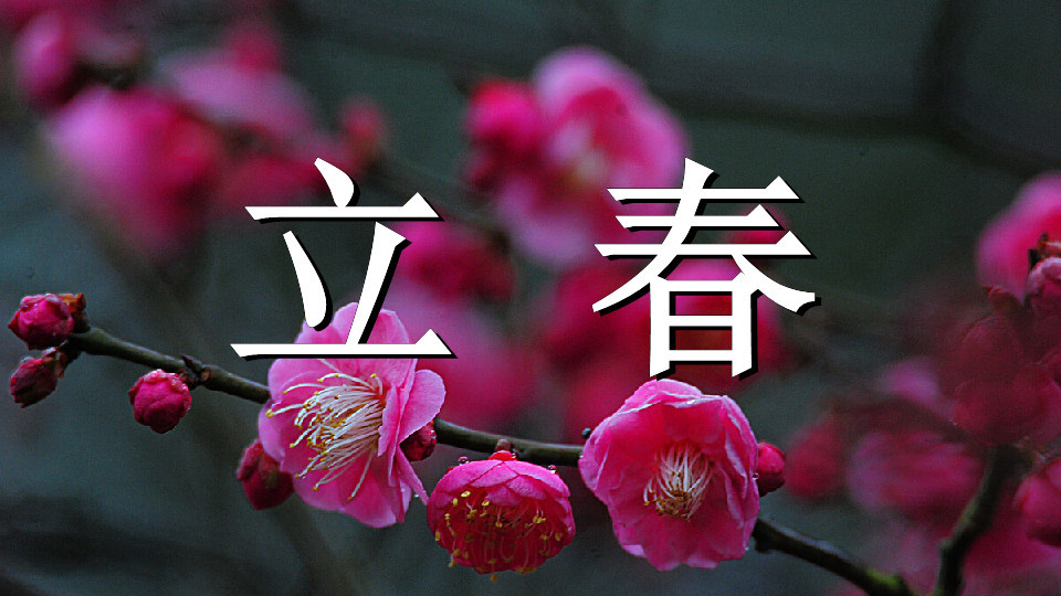 私房菜|明天立春，别忘记吃3绿、3白，少食1黄，顺应时节，家人都受益