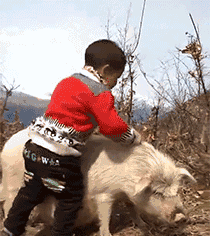 火影忍者|四本极品修罗场小说，斗罗大陆，火影忍者，漫威DC，日系都市