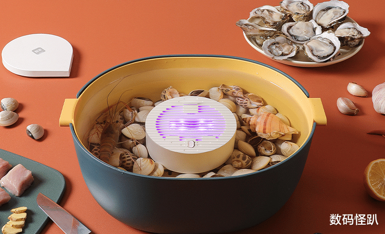 破壁机|购物车清空计划:618必买的5款小家电分享