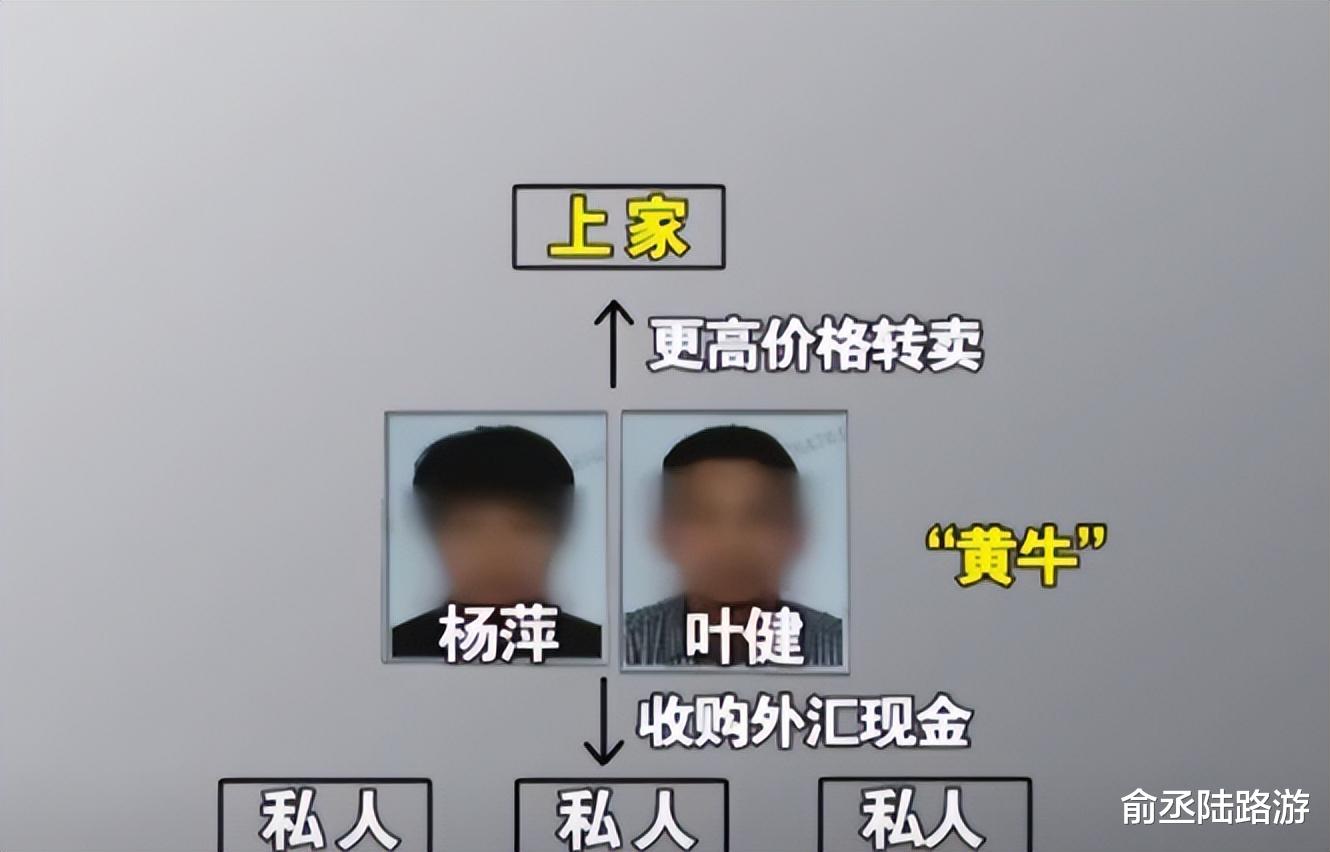 2016年, 浙江一工人的银行账户, 月流水将近1亿, 调查发现不简单
