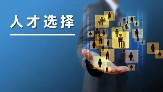 教师|HR招采购，选60分还是100分人才？