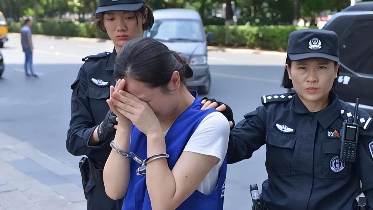 黑帮老大|90后女“黑老大”杨春燕：淑女外表竟是毒辣心肠，还是在读硕士生