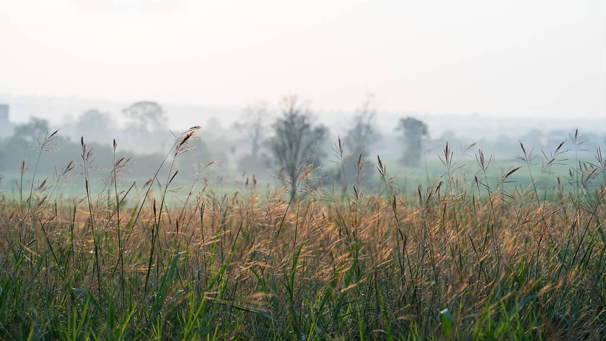 |跨越35岁、40岁的职场焦虑