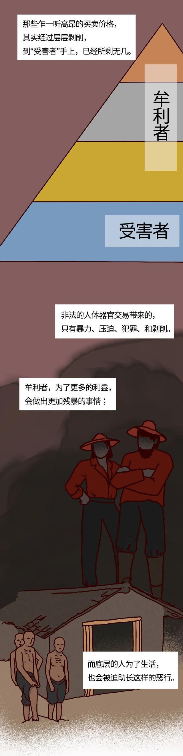 黑市|你的尸体，在“黑市”值多少钱？（漫画科普）生命怎能明码标价？