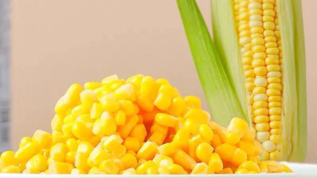 玉米|渔乐杂谈：玉米小麦钓大物，如何制作效果好？