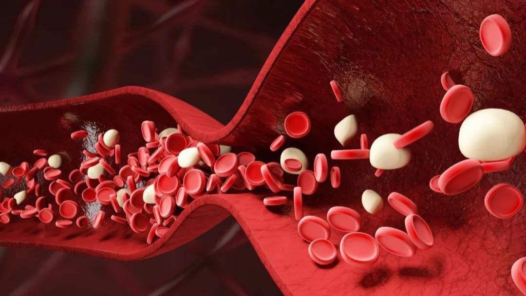 黄芪|气虚血瘀会怎么样？简简单单三味药，活血、补气、养阴！