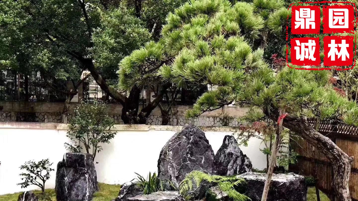 黑山石景观不同所用的石材景观设计都不同！