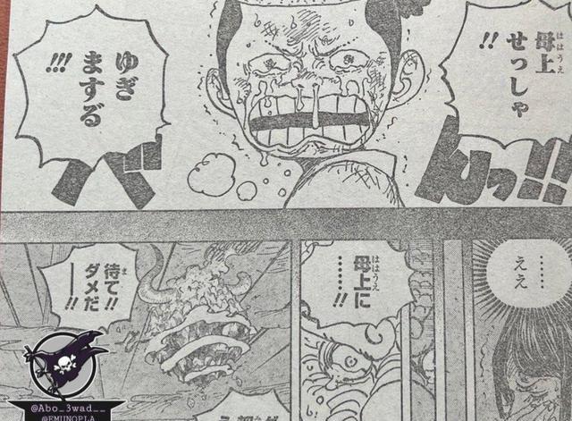 路飞|海贼王1047话情报图路飞一拳可灭岛凯多:鬼岛的大家由我来守护