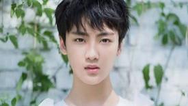 肖战|边程，鞠婧祎，郑业成，华晨宇，刘诗诗，肖战！