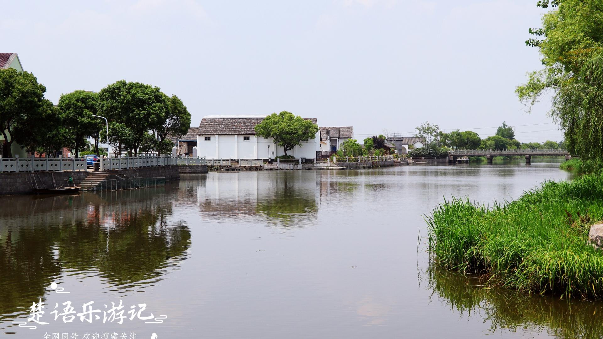 美丽|宁波城西最原滋原味的古村，水乡风情浓郁，两条河流成为美丽风景