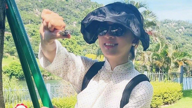 孙俪|孙俪真是老江湖！穿旗袍衫徒手玩知了好胆大，22只知了排长队变摆设