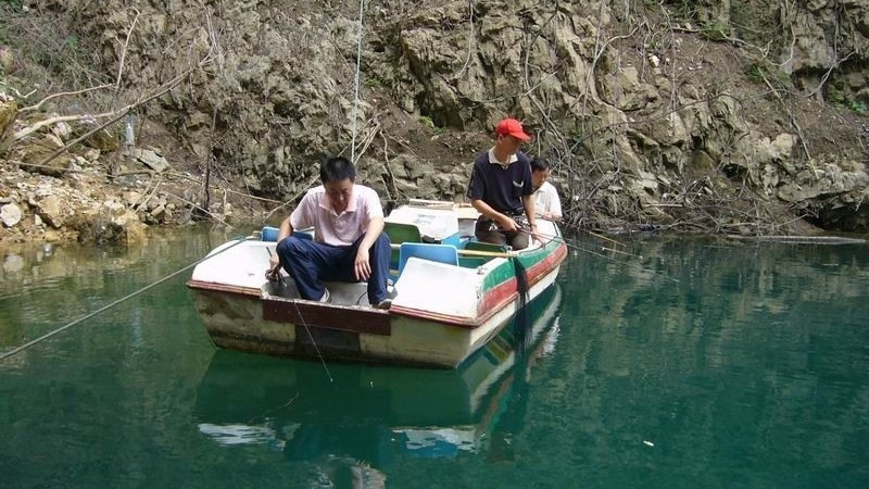 |浮漂都有动静了，为什么还是没有鱼呢？