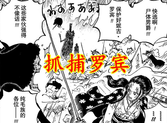 海贼王|海贼王:完全失败的CP0,三大任务未完成,还损失二人