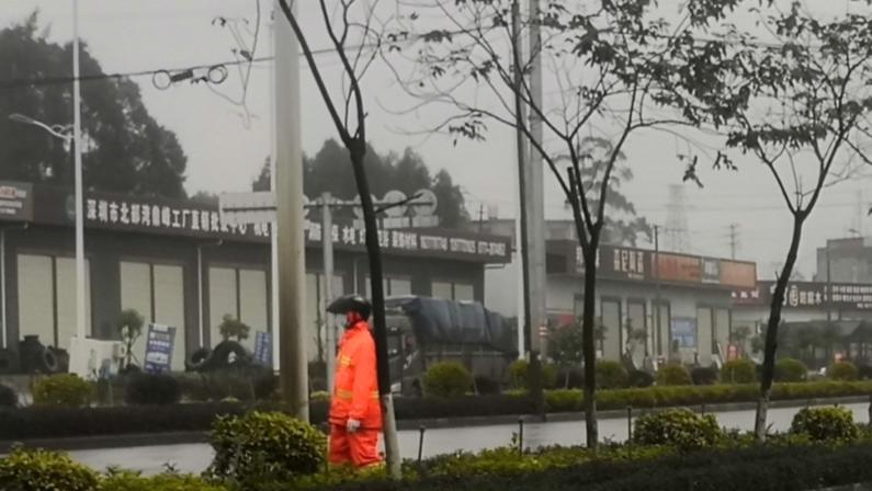 共同维护美丽的环境，做好自我