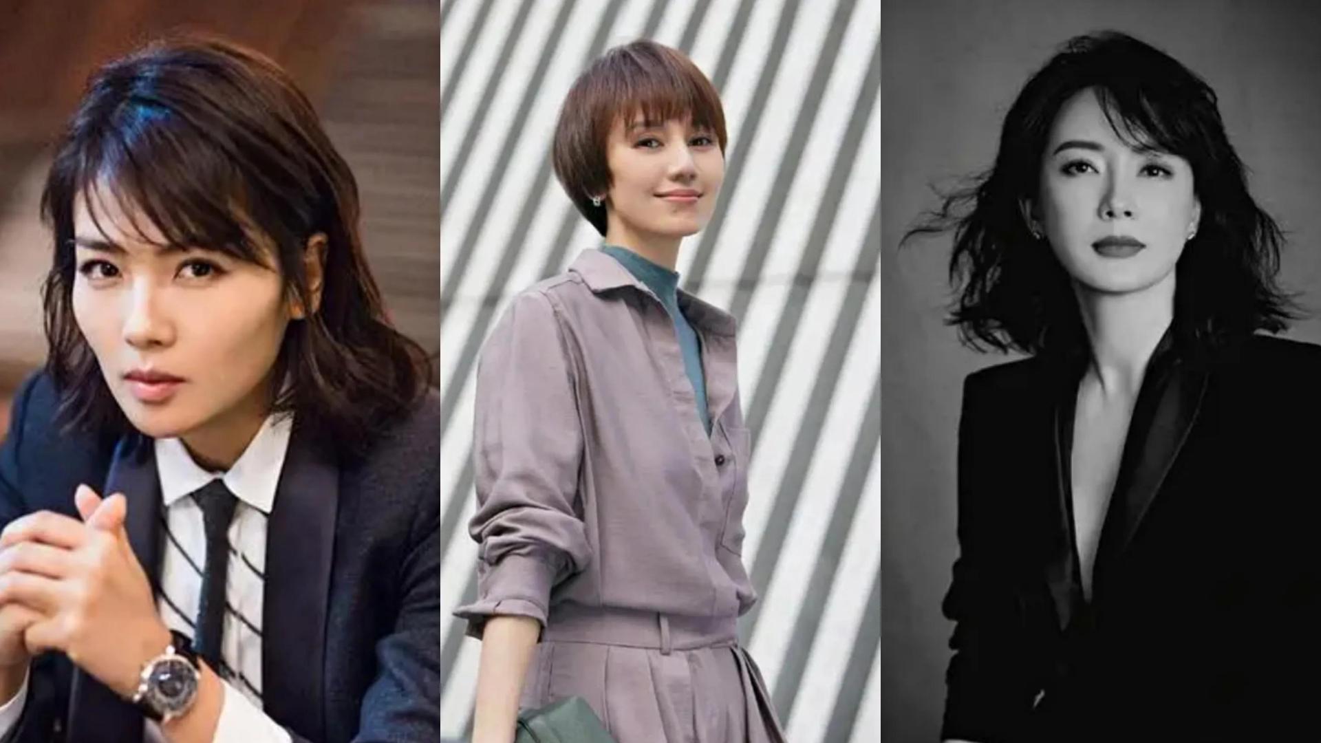 姚晨|假如这6个女强人都在同一个公司，会是什么样的职位？