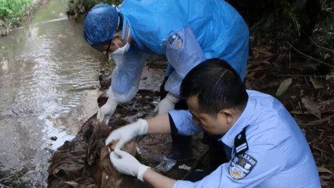 主持人|女主持佟瑶：酒后内急，在江边“小解”，不幸落水身亡，令人惋惜