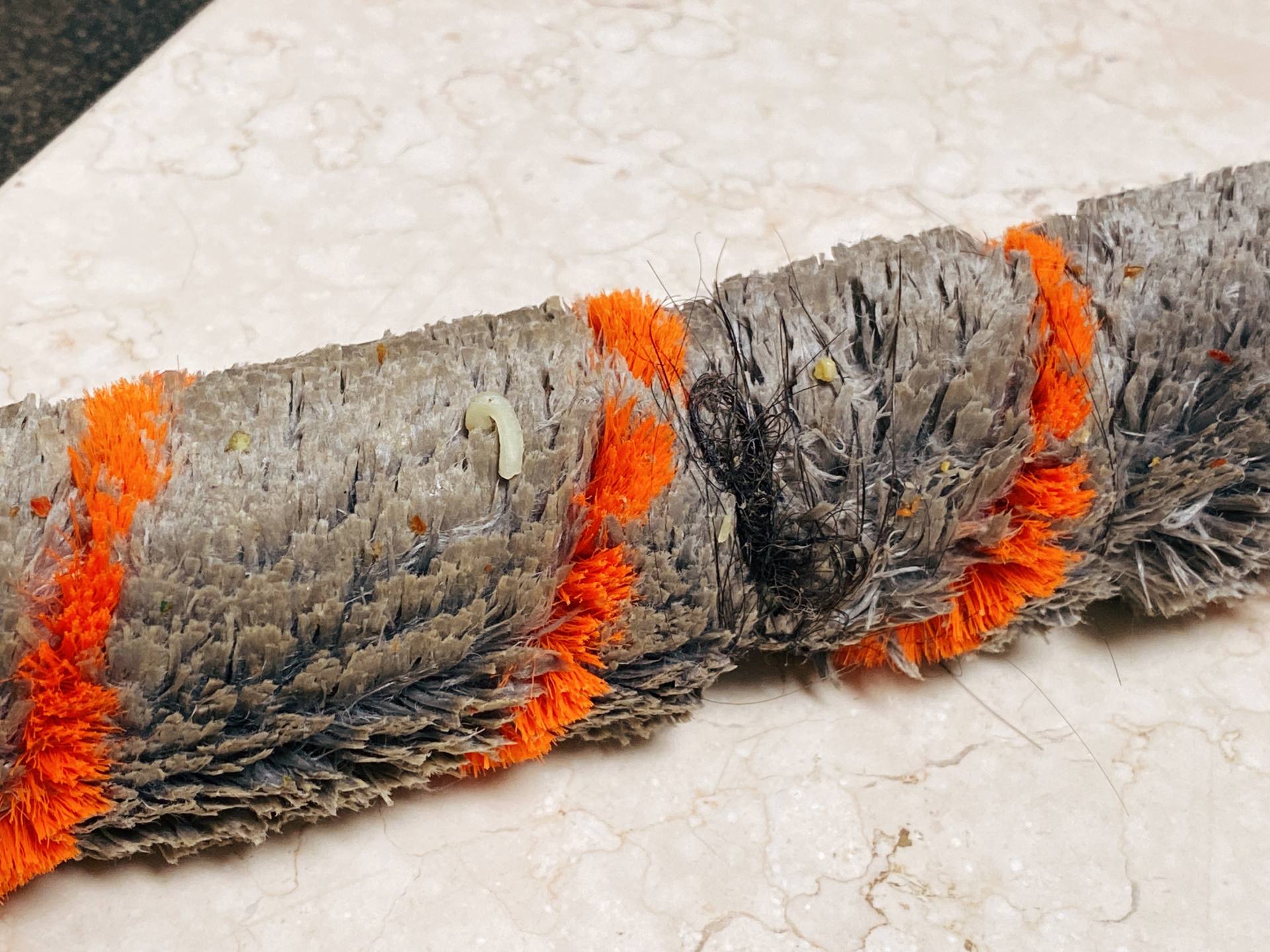 扫地机器人|养宠物和养娃不能兼得？有了Trifo扫地机器人，这都不是事